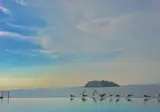 Birds Bay foto 3