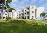 Lime Playa de Alcudia foto 5