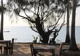Zanzibar Bay Resort foto 22