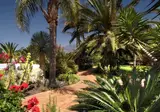 La Palma Jardin foto 30