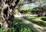 Villa Stefanos foto 15