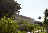 Sunshine Rhodes foto 20