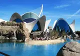 Winterzon in Valencia foto 5