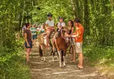 Camping Château La Forêt foto 18