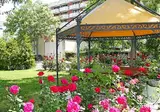 Hotel Pliska foto 19