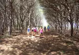 Camping Village Baia Blu La Tortuga foto 18