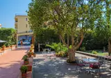 Hotel Delle Palme foto 6