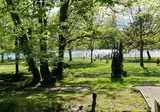 Camping Montard foto 6