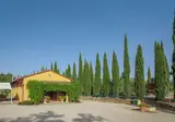 Tenuta Moriano foto 25