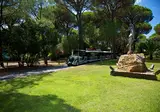 Camping Cieloverde foto 54
