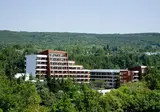 Flamingo Grand Hotel & Spa foto 9
