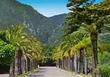 San Lucianu foto 6