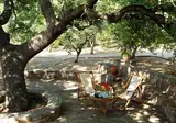 Delfinia Hotel & Bungalows foto 17