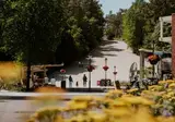 Vakantiepark Buiten Bergen foto 5