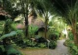 Samui Natien Resort foto 7