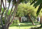 Club Boran Mare Beach foto 15
