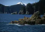 Western Canada & The Inside Passage foto 20