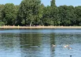 Vakantiepark Delftse Hout foto 19