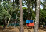 Le Truc Vert foto 11
