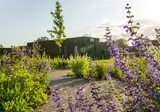 Hofparken Wiltershaar foto 13
