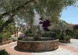 El Capistrano Sur foto 22