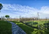 Il Podere Del Germano Reale foto 13