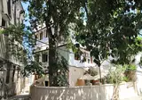 Shaba Boutique Hotel foto 28