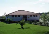 Evora foto 9