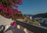 Fevro foto 17