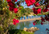 Crystal Springs Beach Hotel foto 16