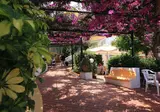 Hotel Royal Terme foto 6