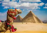 8-daagse rondreis Het Noorden van Egypte foto 1