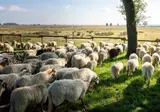 Grenzeloos Slapen-Eten-Beleven foto 34
