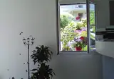 Villa Paola foto 18