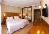 NH San Pedro de Alcántara foto 1