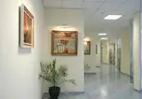 Opal foto 12