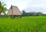 Tanah Gajah, a Resort by Hadiprana foto 23
