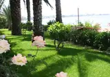 Rubi Hotel foto 20