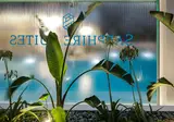 Sapphire Blue Suites foto 3