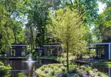 Vakantiepark De Rimboe en De Woeste Hoogte foto 28