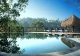Nandini Jungle by Hanging Gardens foto 4