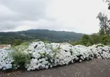Quinta da Cova do Milho foto 1