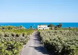 Boutique Hotel Donna Carmela foto 17
