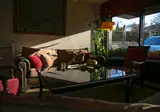 Best Hotel foto 10
