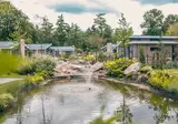 De Utrechtse Heuvelrug foto 18