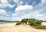 Camping Blauwe Meer foto 28