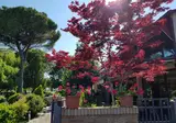 Hotel Classensis foto 4