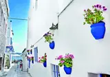 Bingo Bodrum 5* foto 10