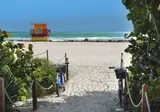 Hilton Garden Inn Miami South Beach foto 16