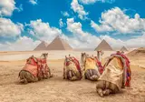12-daagse rondreis Het eeuwenoude Egypte foto 5